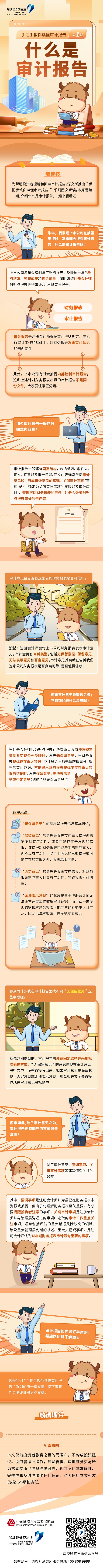 手把手教你读懂审计报告丨第一期什么是审计报告.jpg